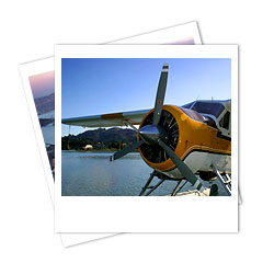 San Francisco Seaplane Golden Gate Tour from Sausalito